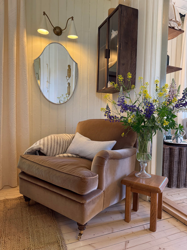 Howard Lenestol petit