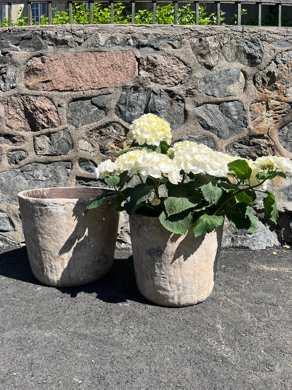 Cement pots