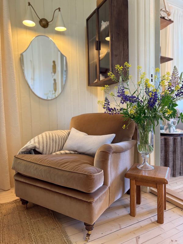 Howard Lenestol petit