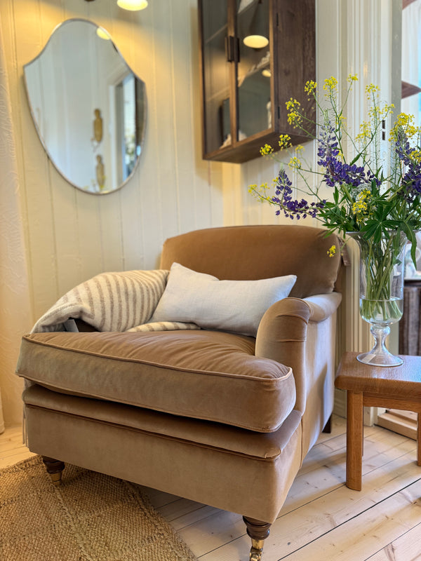 Howard Lenestol petit