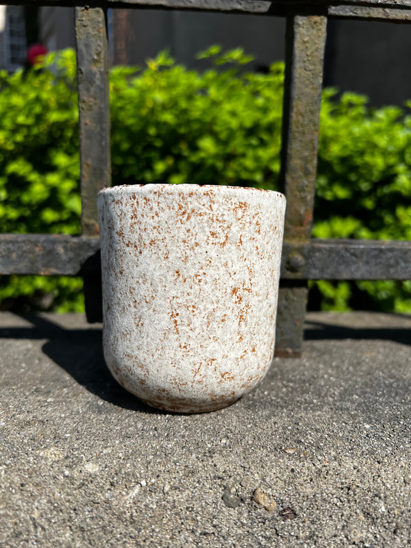 Salt cup