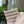 Grytevott striper beige