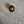 Alabaster Studio knott bronse 18mm