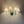 Mid Century Vegglampe, 5-arm