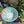 Amalfi tableware Turquoise