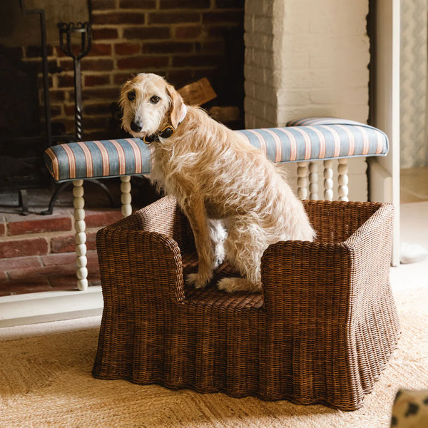 Rattan dog bed large