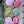 Maison lite fat, Rose