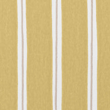 Stig Stripe - Mustard Cathy Nordström Wallpaper