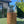 Vase, mørkt tre