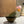 Tamegroute Serveringsfat Oker, mini