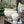 Elara vase, liten