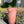Vase munnblåst bringebærrosa