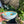 Amalfi tableware Turquoise