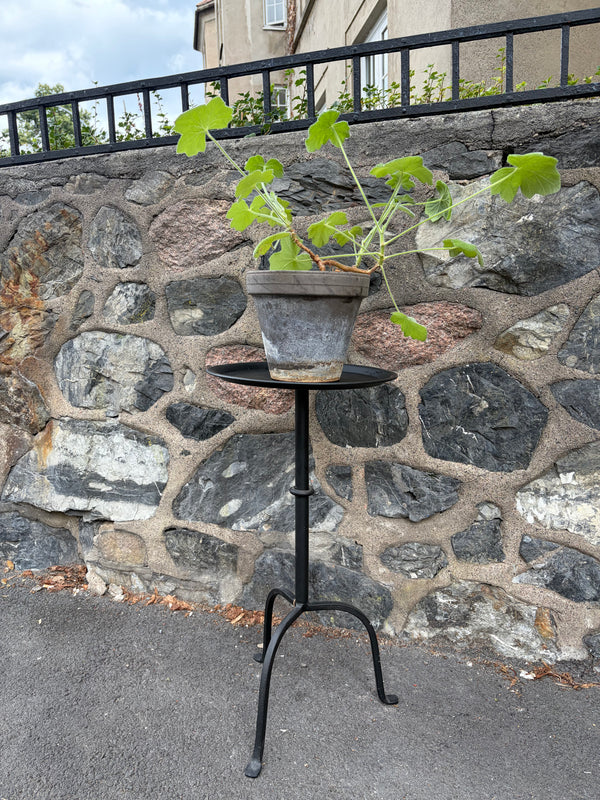 Martini bord