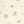 Tess Newall tekstil, Herbarium  forest ivory