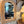 Royal Arch Rotting Speil, medium Natural