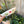 Fat med blomster