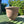 Terracotta krukke