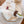 Gien Les Filet Bleu, Middagstallerken