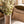 Antoinette Vase Large