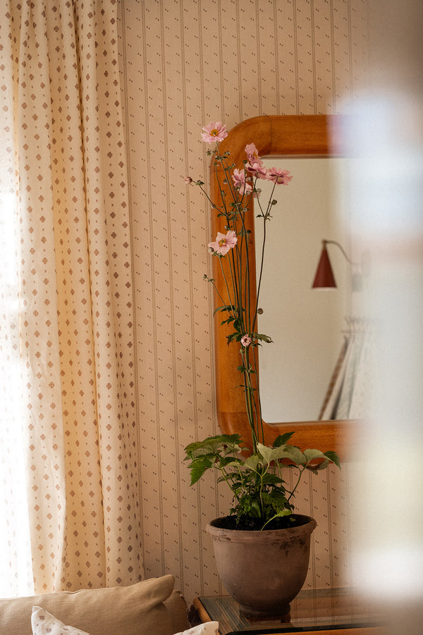 Anemone uten potte, rosa