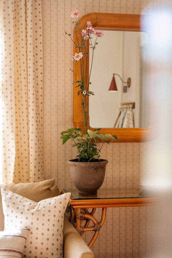 Anemone uten potte, rosa