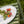 Gien Oiseau Bleu, Serveringsfat