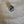 Alabaster Studio knott krom 18mm