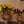 Splattervase brun medium
