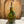 Olive Oil Bottle Lavender