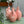 Olivenoljeflaske Rosa