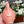 Olivenoljeflaske Rosa