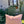Manuel Canovas, Mia Dragee pute 40x60