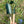 Hagespade, grønn