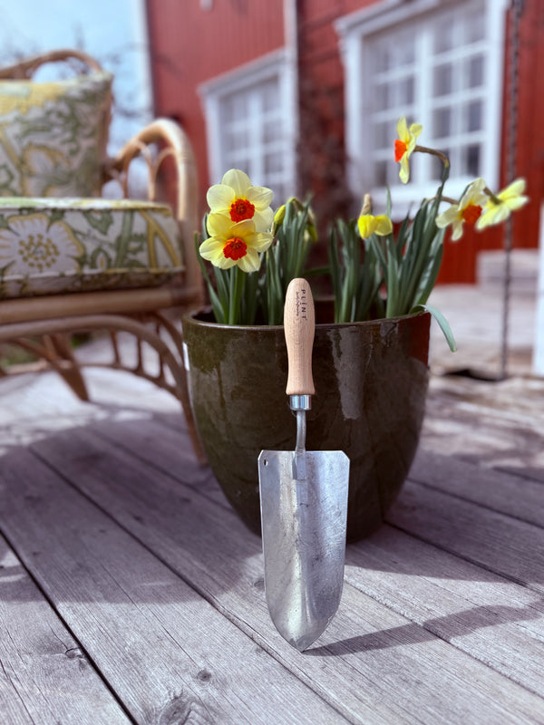 Hagespade, Zinc