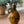 Olive Oil Bottle Lavender