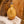 Olive oil bottle Sunny yellow