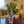 Timantti Vase Large