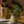 Papaver Keramikkvase Gul