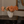 Tess Vase
