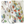 Imogen Heath, Abigail, tekstil, Summer
