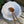Maison salatbolle, White