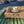 Ivy Rattan Brett Natural