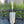 Hagespade, Zinc