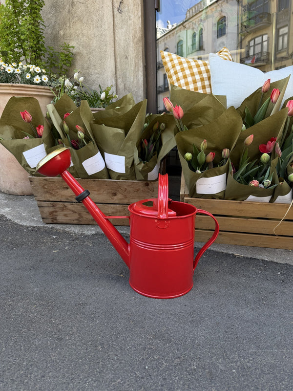 Vannkanne for hage 5 L, Rød