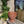 Ornella rotting vase, brun