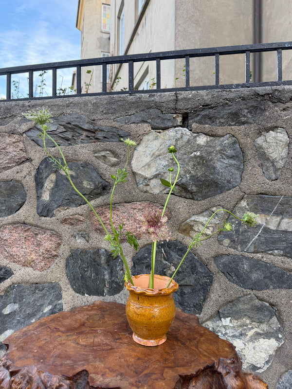 Tamegroute Terracotta Potte