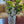 Timantti Vase Large