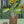 Vase, mørkt tre