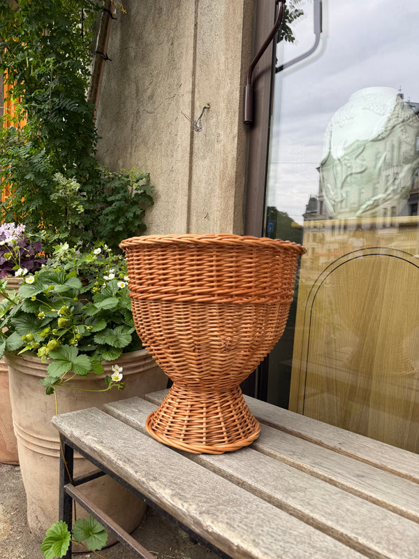 Rottingvase